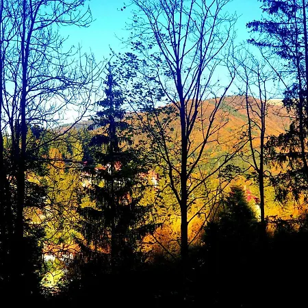 Casa De Vacanta Razvan Si Andrei * Sinaia