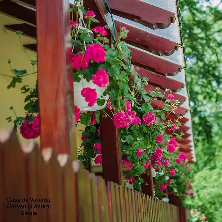 Casa De Vacanta Razvan Si Andrei Guest house *