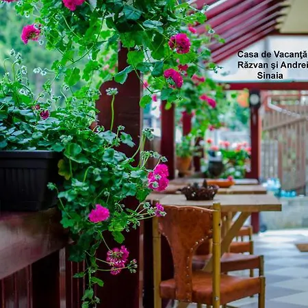 Casa De Vacanta Razvan Si Andrei Guest house