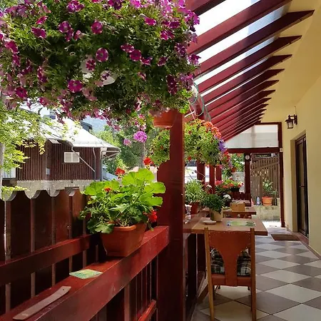 Casa De Vacanta Razvan Si Andrei Guest house