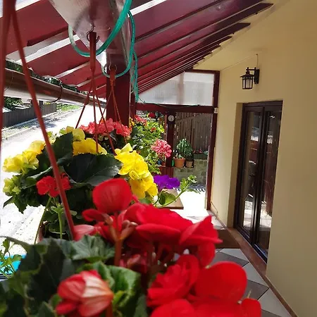 Guest house Casa De Vacanta Razvan Si Andrei