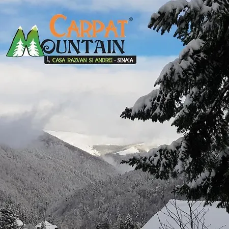 Casa De Vacanta Razvan Si Andrei Guest house Sinaia